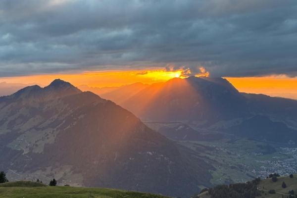 42bfd265-fd29-46a1-ad7d-ae29a2f04d40