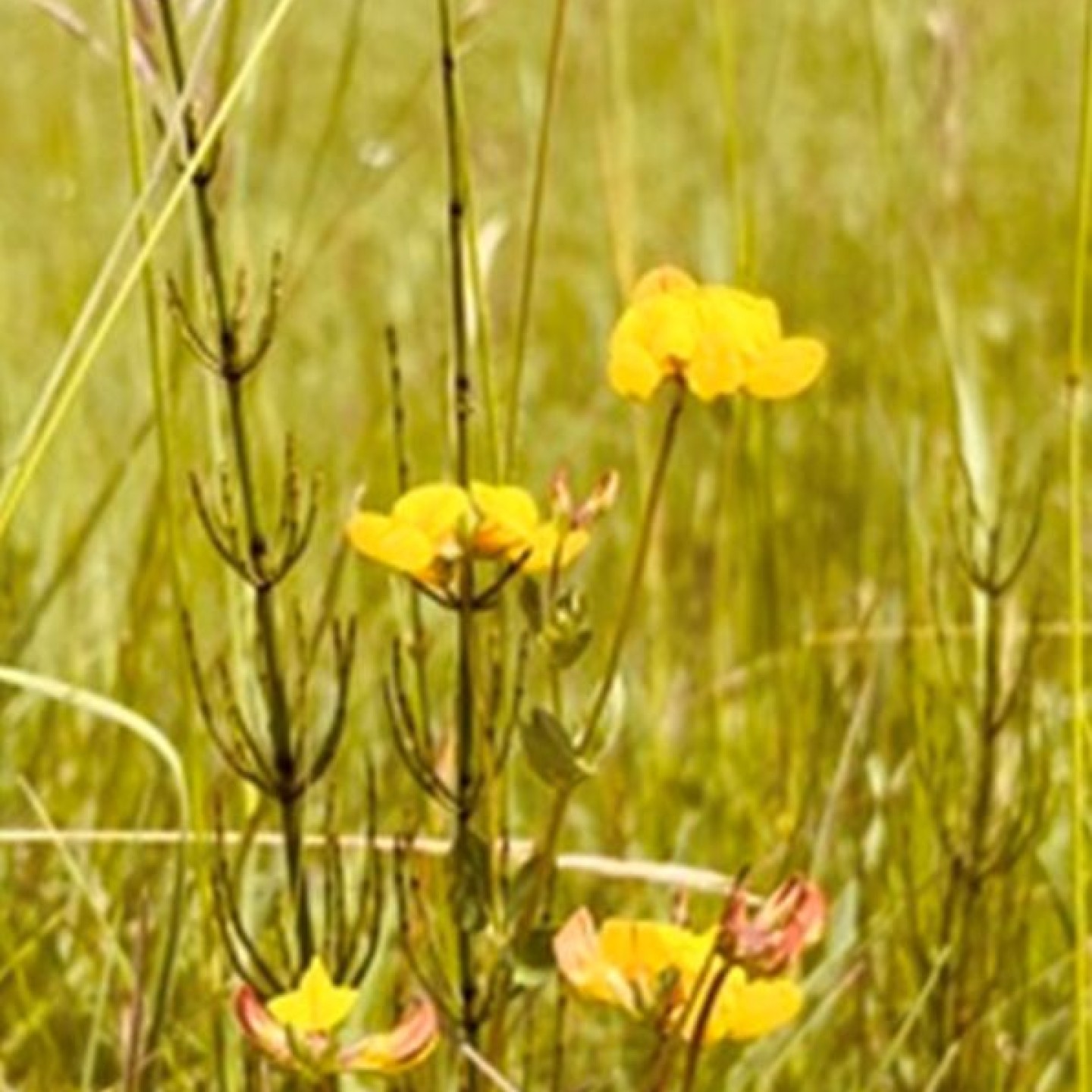 Bild6