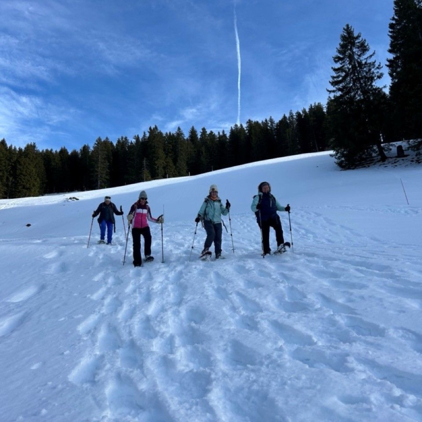 Bild6