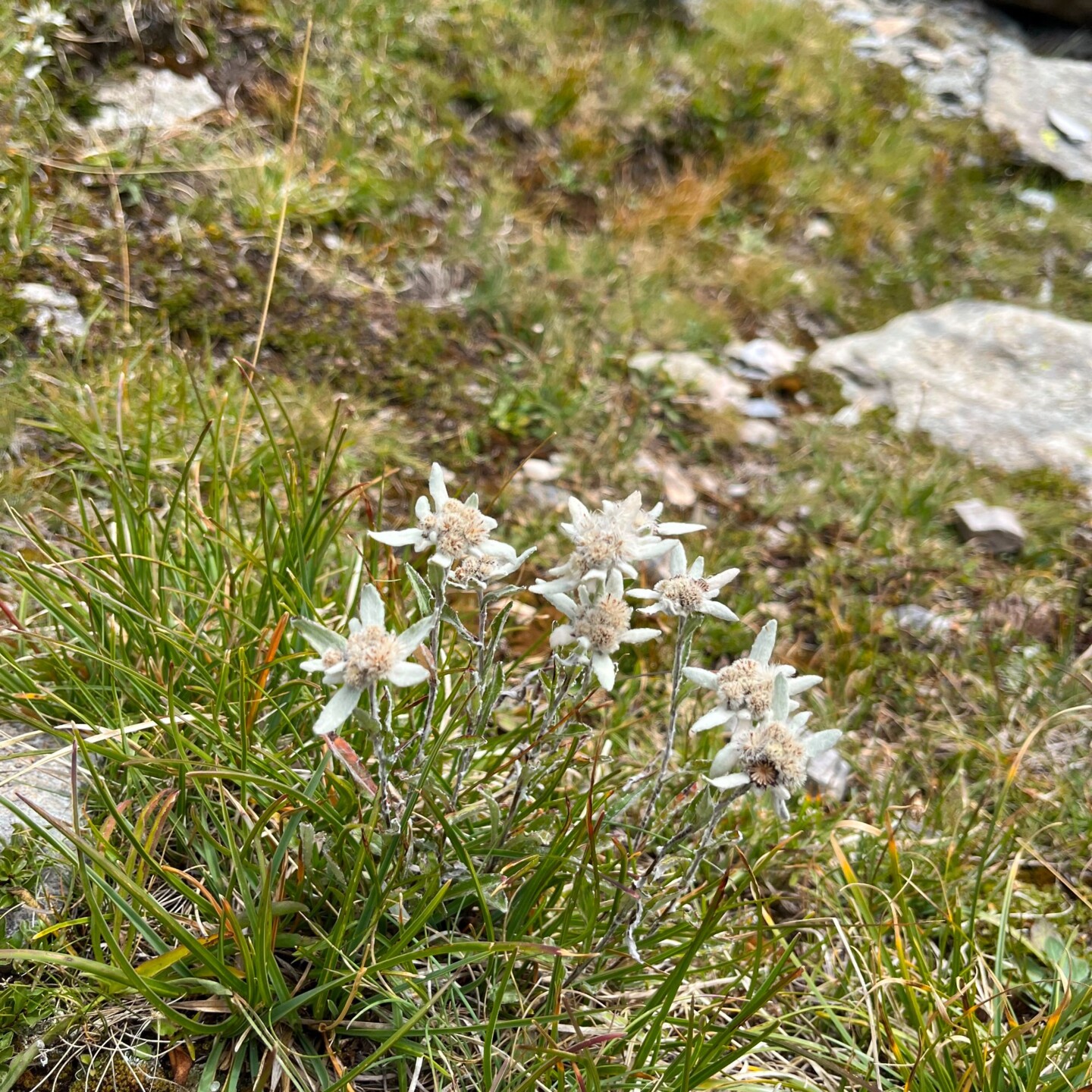 IMG-20260907-WA0019