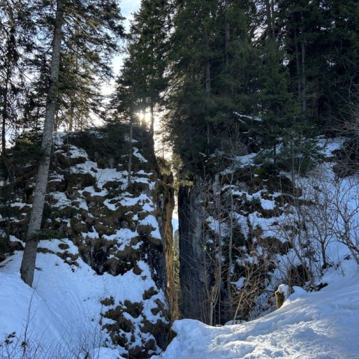 Bild2