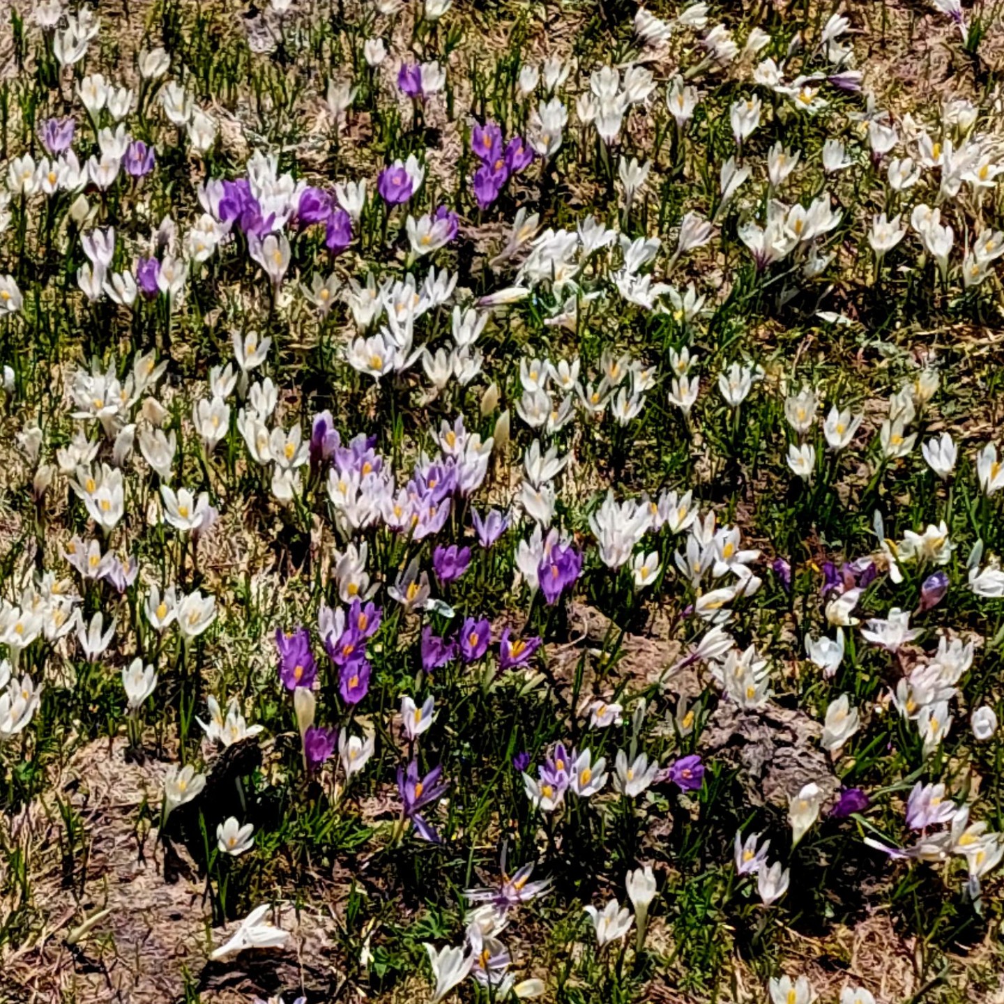 20250510_105048