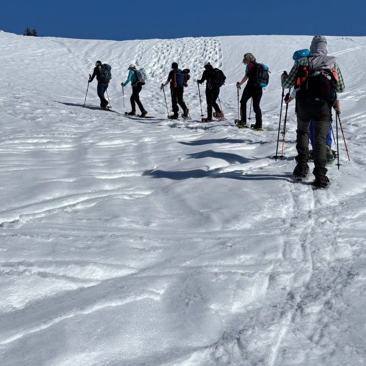 Bild5