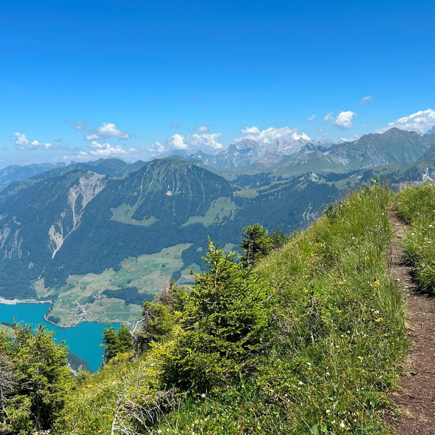 Bild11