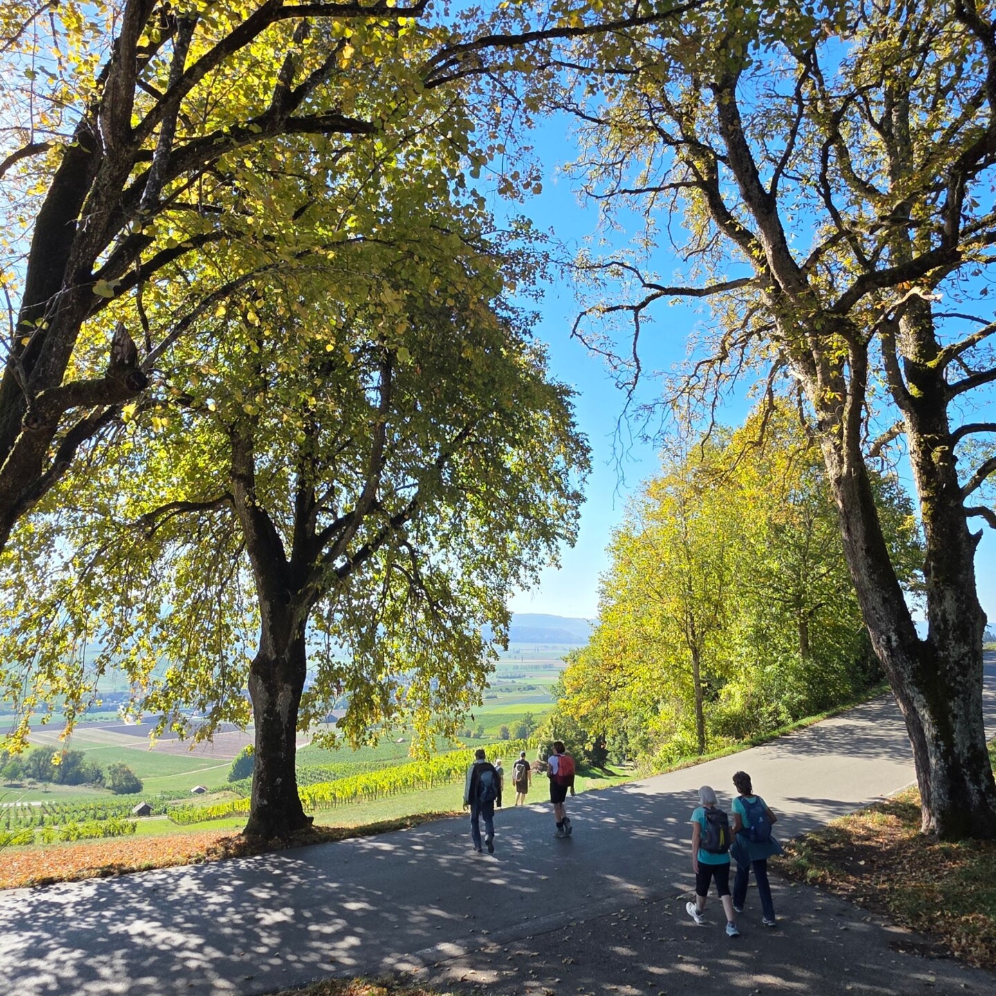Farbiger Herbst