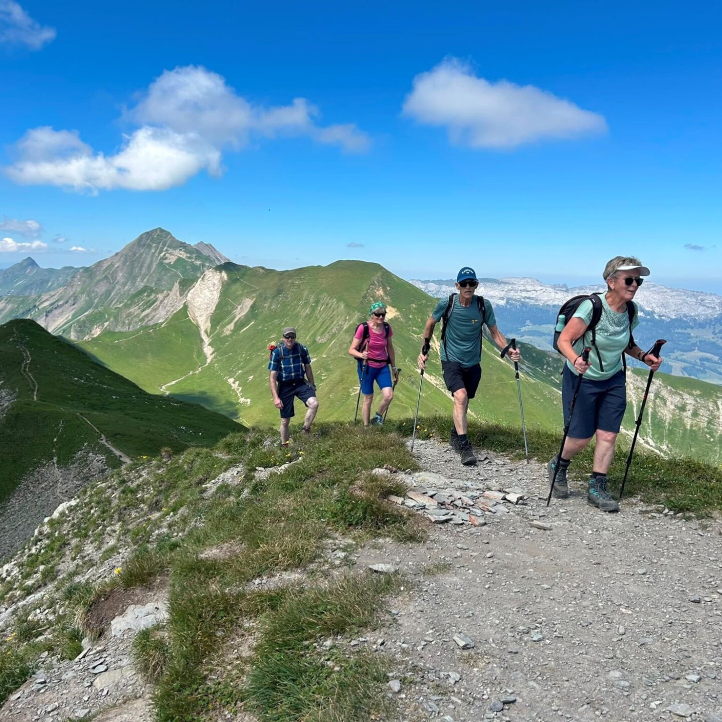 Bild6