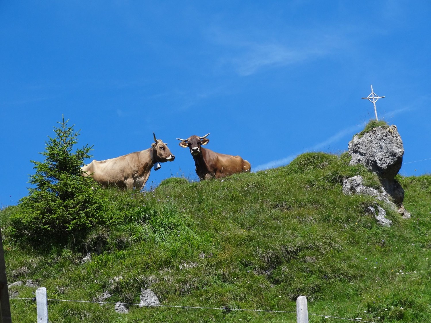Foto: M. Achermann