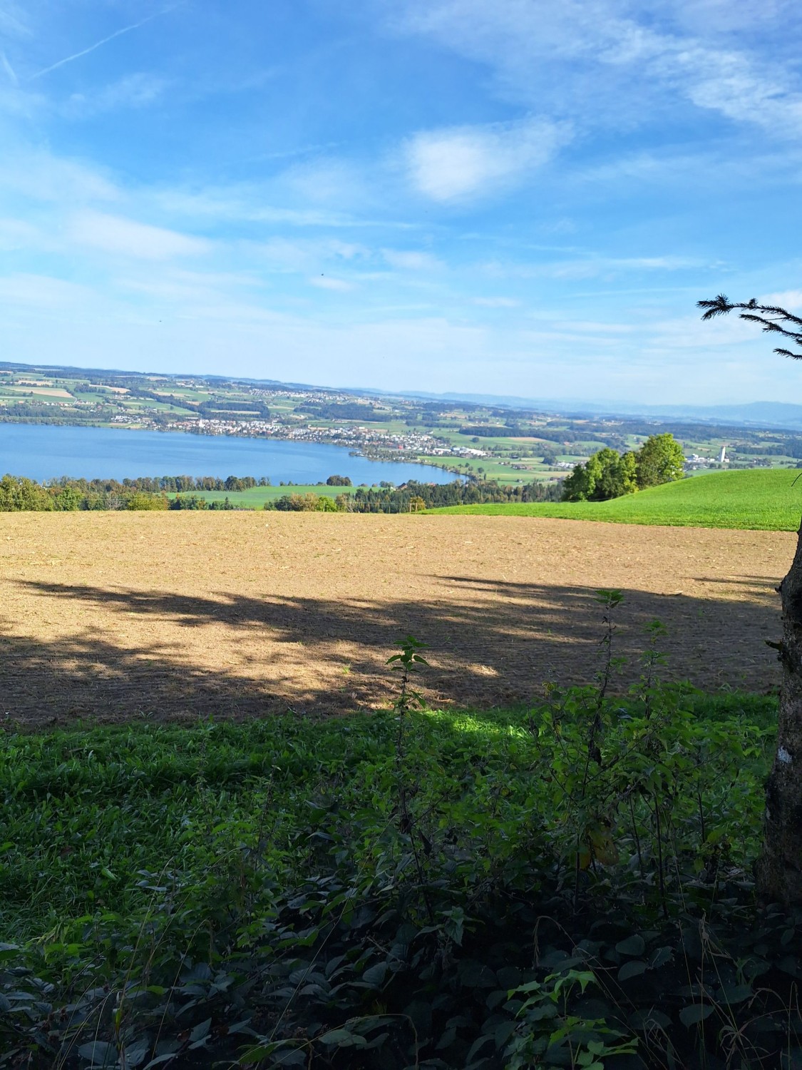 Foto: M. Achermann