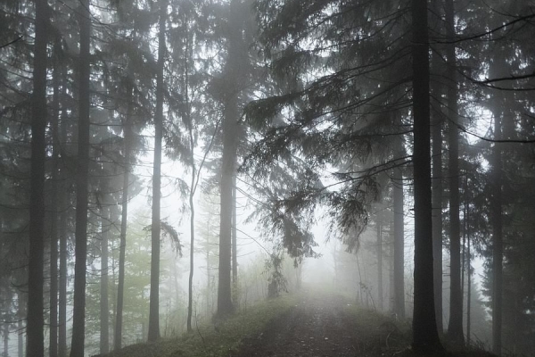 Flühlingswanderung zum Napf