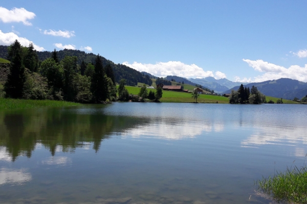 von Schindellegi zur "Schwarzen Madonna" in Einsiedeln