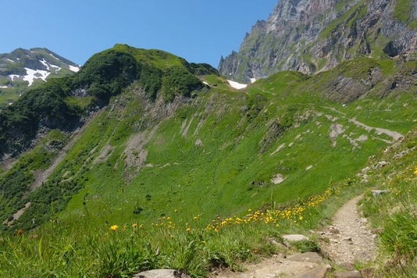 Ein Stück Via Alpina von der Fürenalp nach Attinghausen