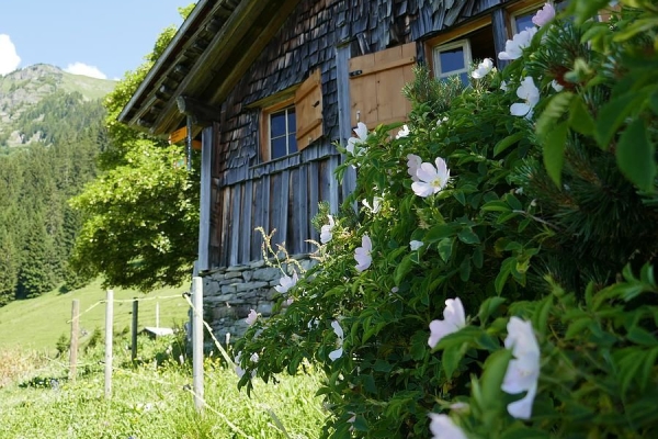 Wilerhorn - Vom Turren zum Brünigpass