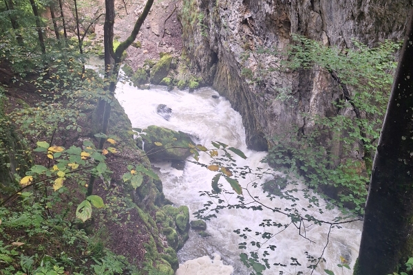 Wanderung durch die L'Areuse-Schlucht und Rundwanderung Creux du Van