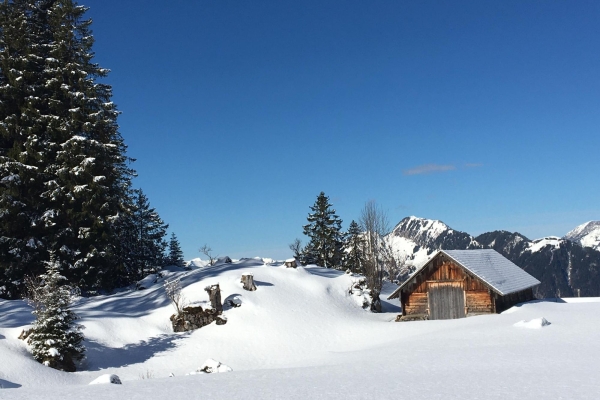 Deine Spuren im Schnee