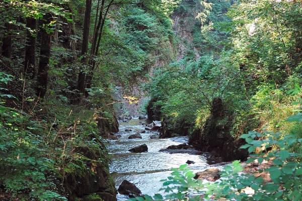 Stans-Rotzberg-Rotzloch-Stans