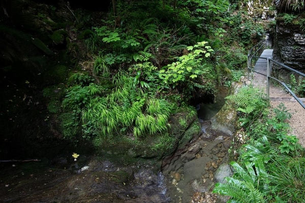 Tüfelsschlucht-Belchen-Weg