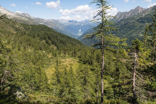 Vom Gotthard nach Obergesteln (3. und 4. Etappe - 4 Quellenweg)