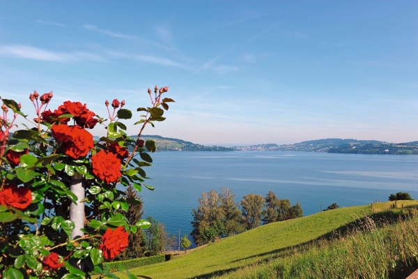 Stansstad - Kehrsiten - Bürgenstock