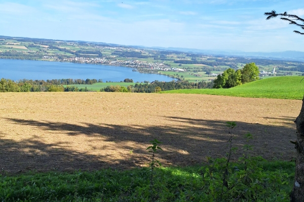von Buttisholz nach Hellbühl, zwischen Ruswil und Sempachersee