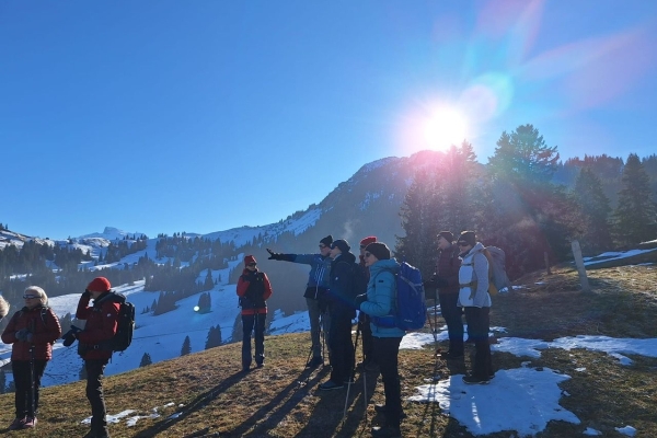 C8c7e43b-2ec2-432e-b812-884804bfdeb3