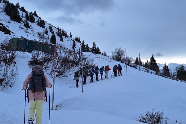 B540f87e-037b-49c4-a4c6-4ae61b24ef4c