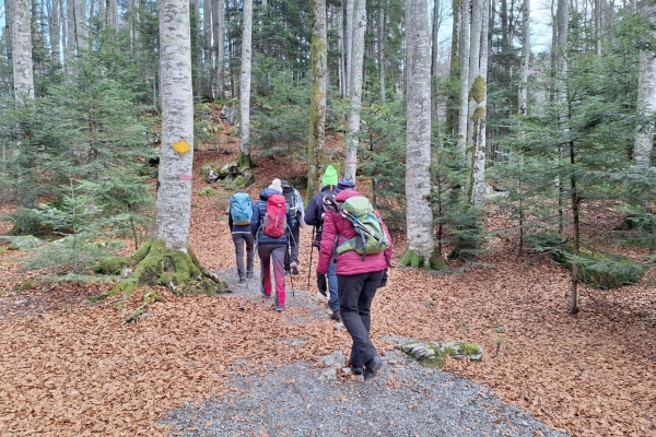 WhatsApp Image 2025-12-21 at 17