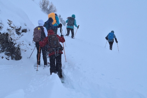 3bcb1a9c-6985-41de-b91d-8e614c170bfb