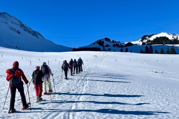 B9ebecd6-086c-4e1e-ba77-802ff77f570d