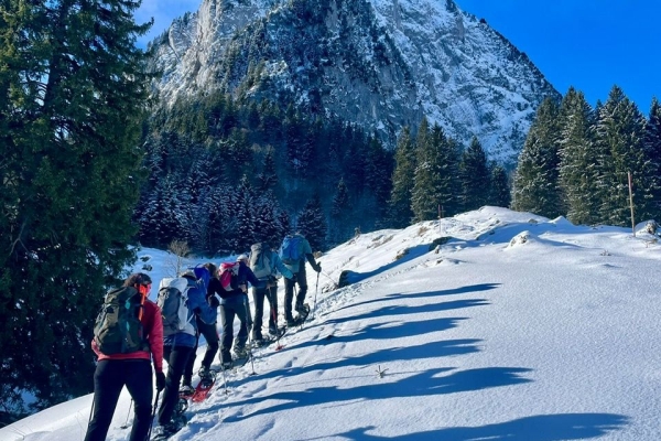 4541a96b-2782-4755-99e5-9a690cf4e475