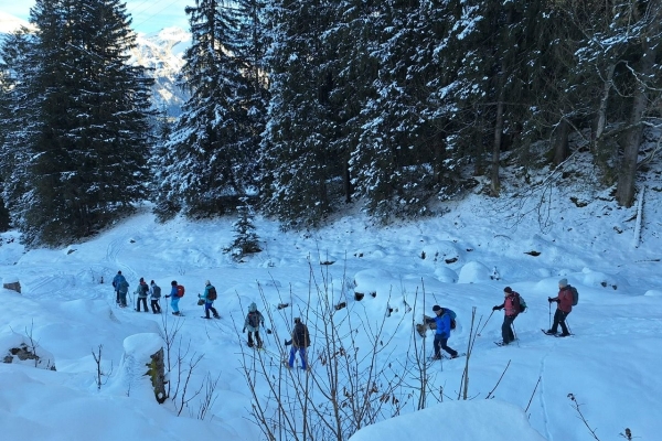 29118d04-7794-48c2-aba3-97bcd83a8873