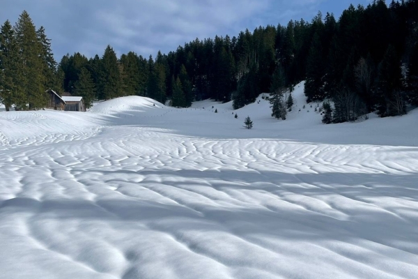 3e4d76d6-257b-48ec-96a0-4433fa7b367e