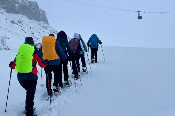 C83b1d98-d0b9-4243-b2af-baa1ad90b61b