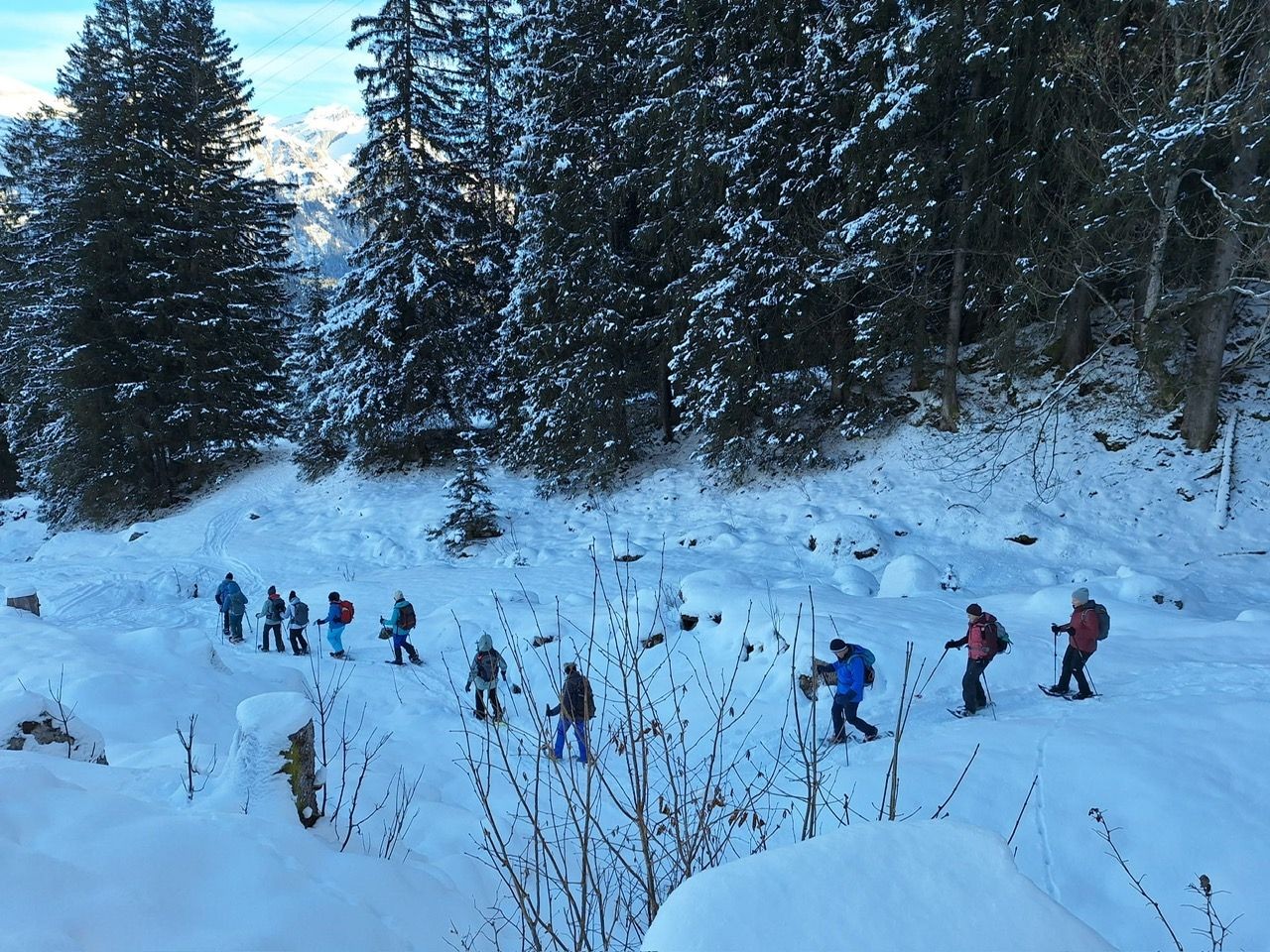 29118d04-7794-48c2-aba3-97bcd83a8873