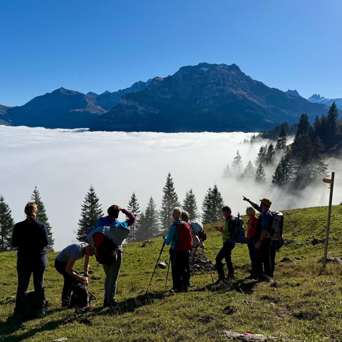 WhatsApp Image 2025-10-18 at 19