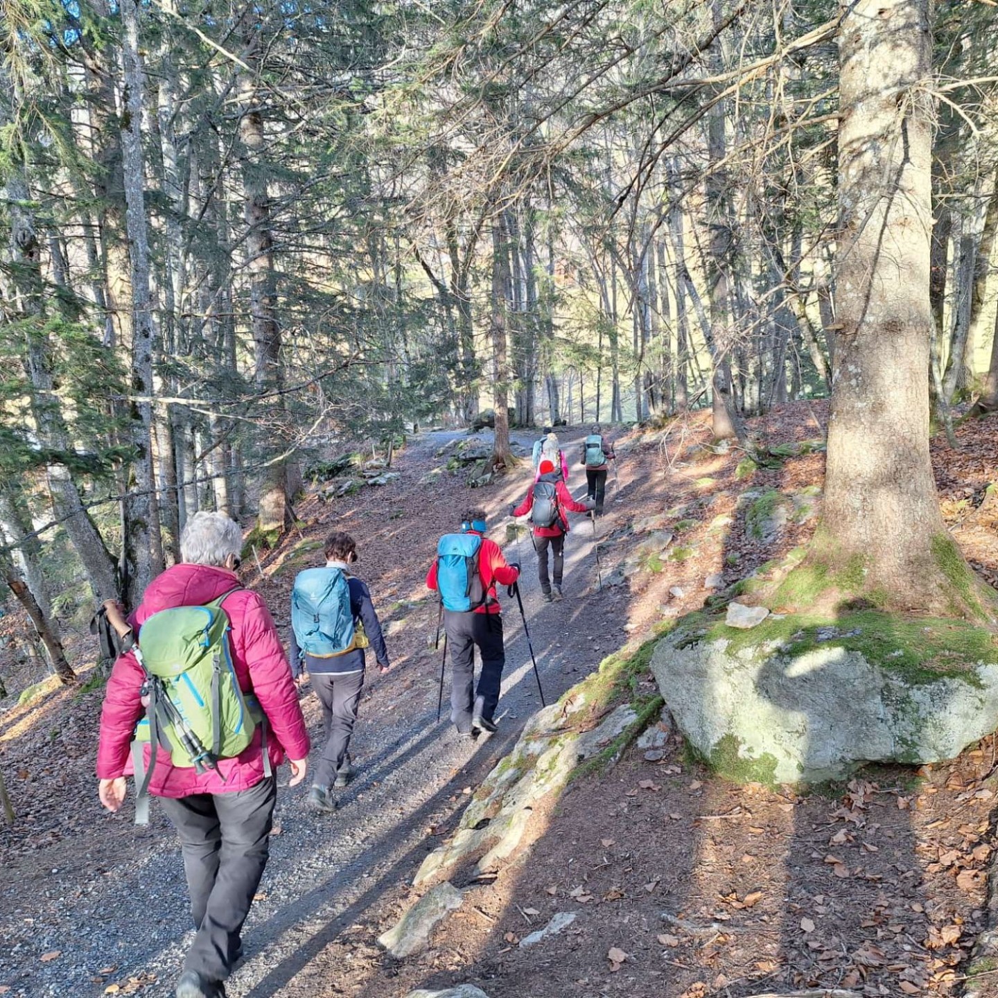 WhatsApp Image 2025-12-21 at 17