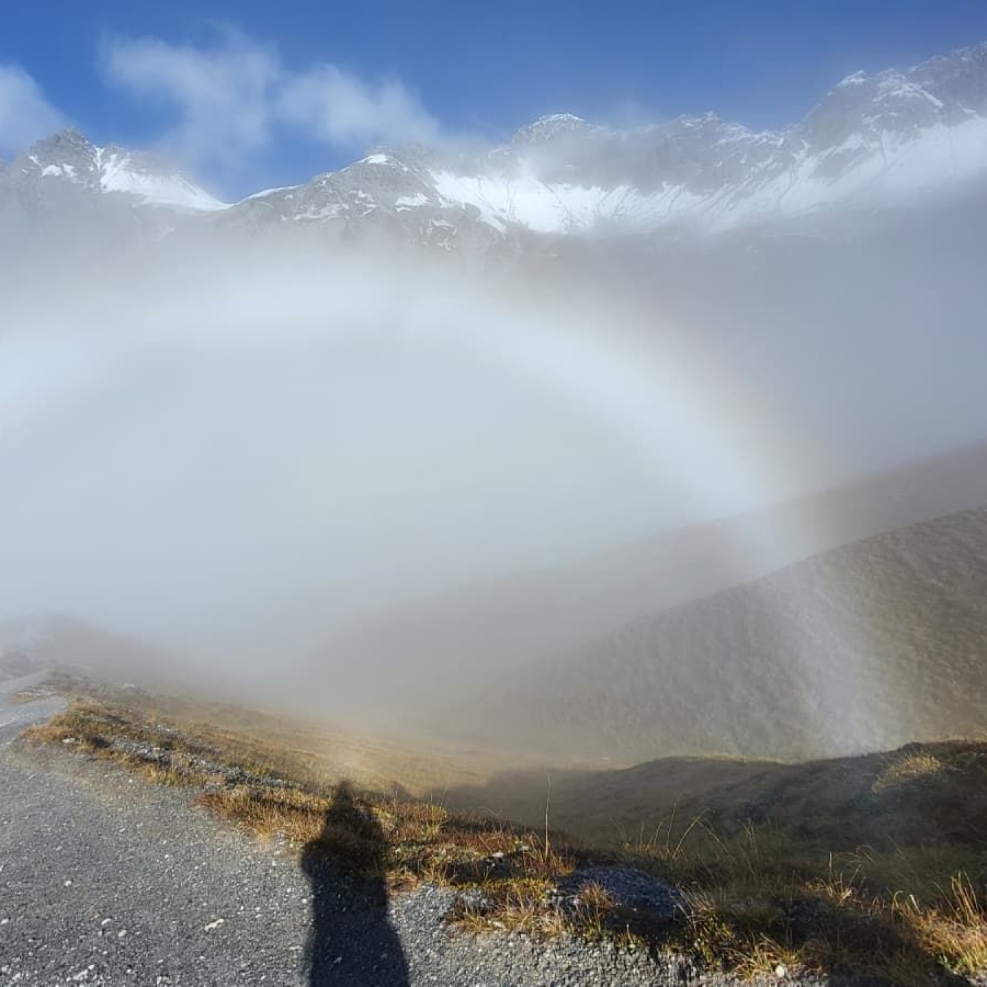 WhatsApp Image 2025-10-28 at 10