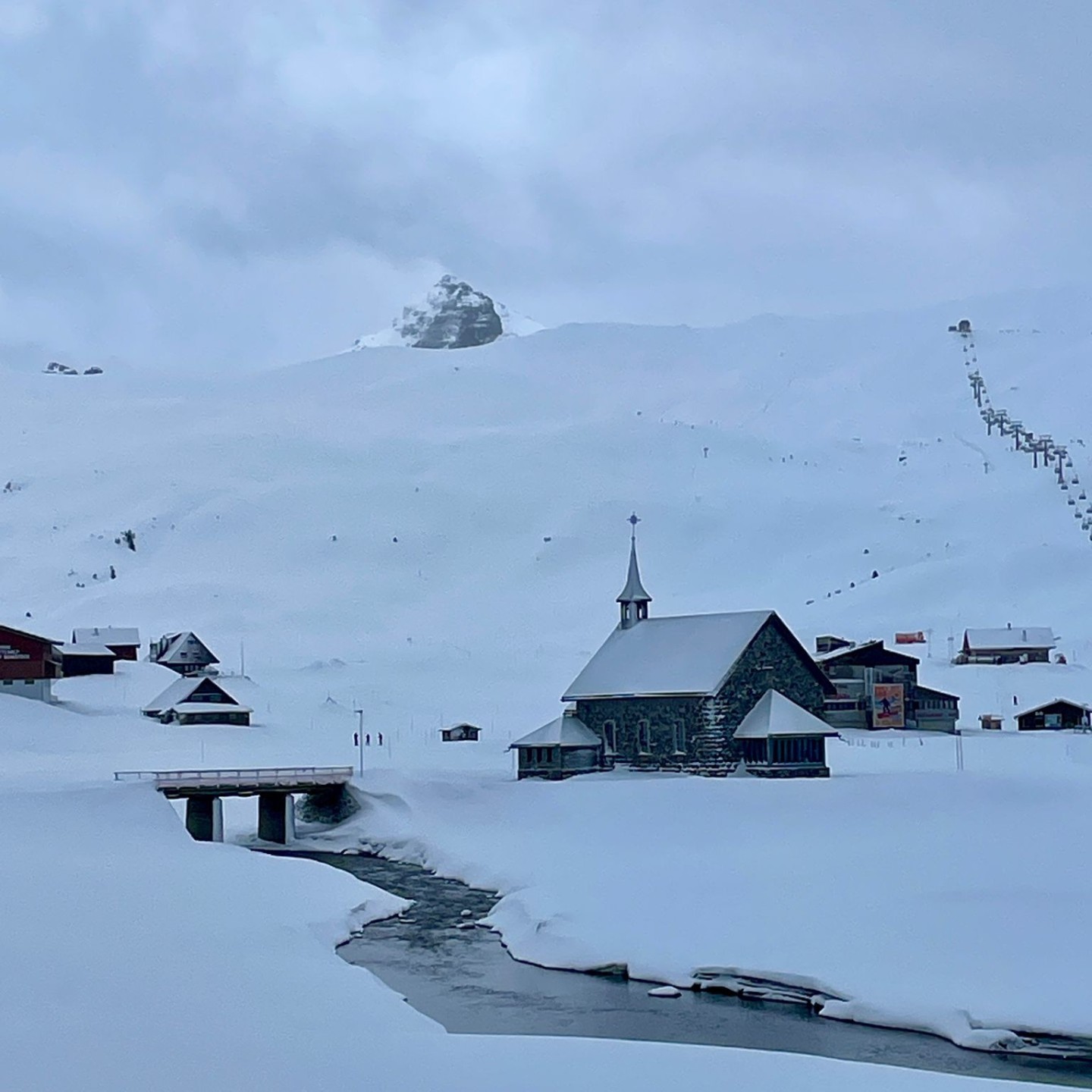 10a05d78-fea0-4723-af96-1b92ff45533c