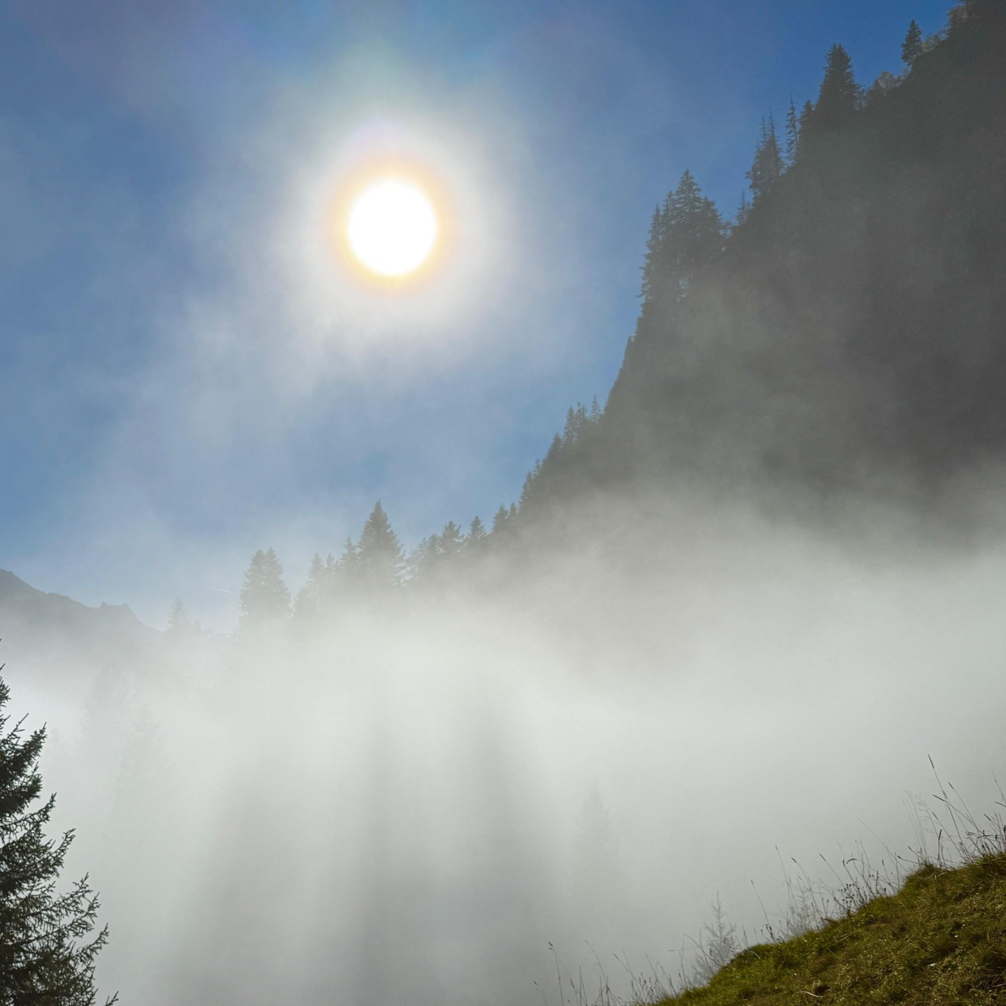 WhatsApp Image 2025-10-18 at 19