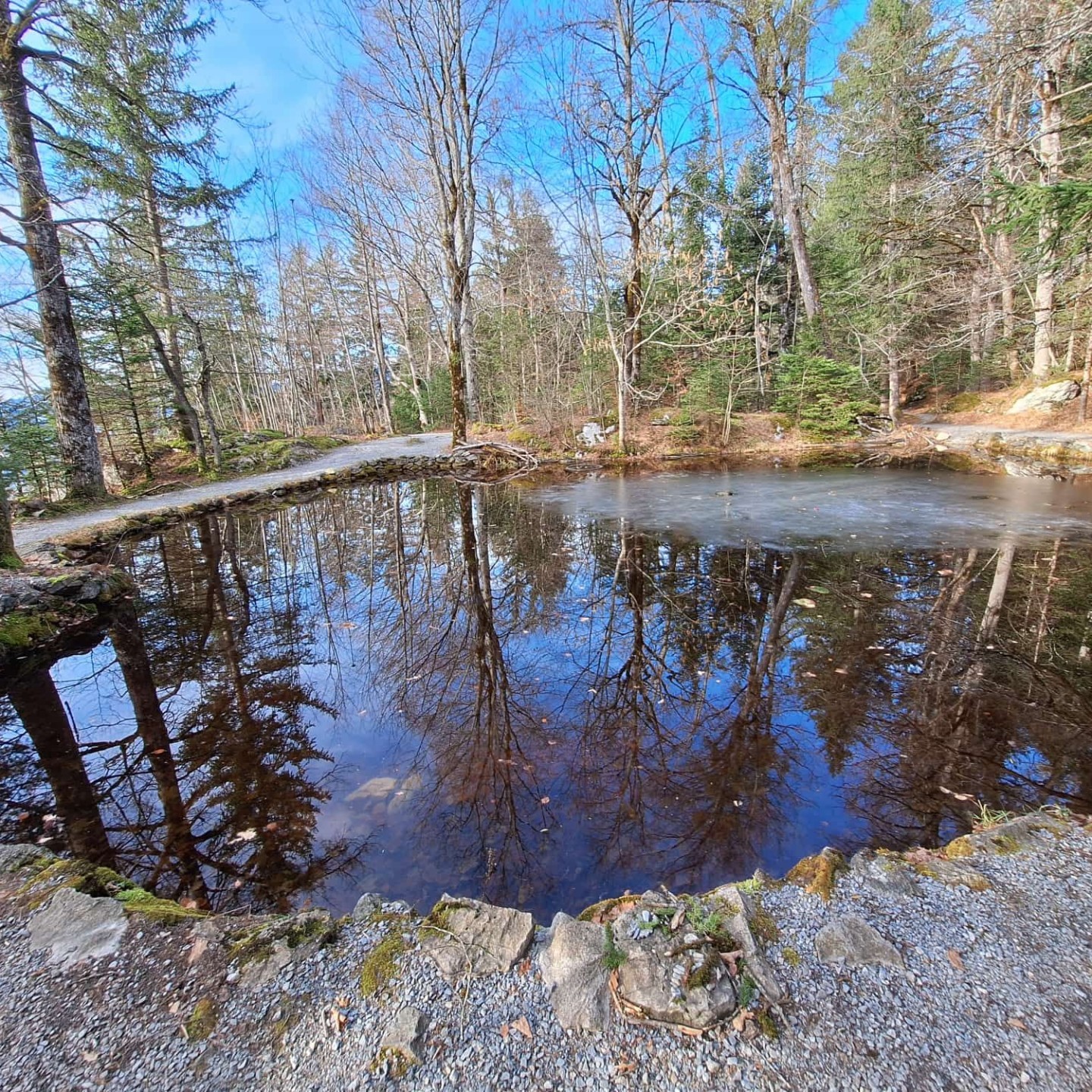 WhatsApp Image 2025-12-21 at 17