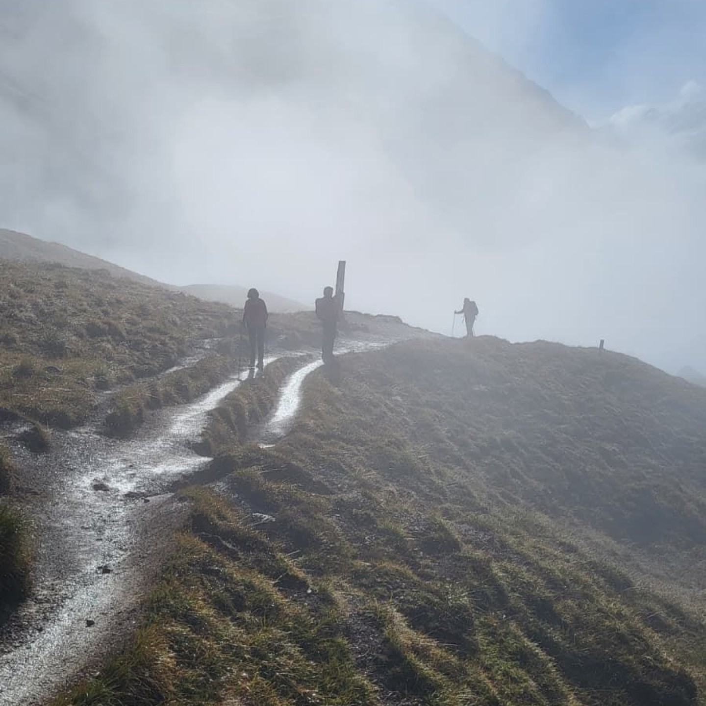 WhatsApp Image 2025-10-28 at 10