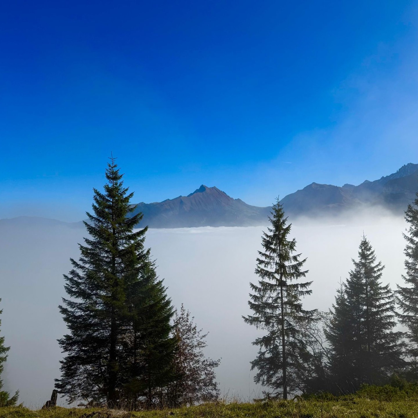 WhatsApp Image 2025-10-18 at 19