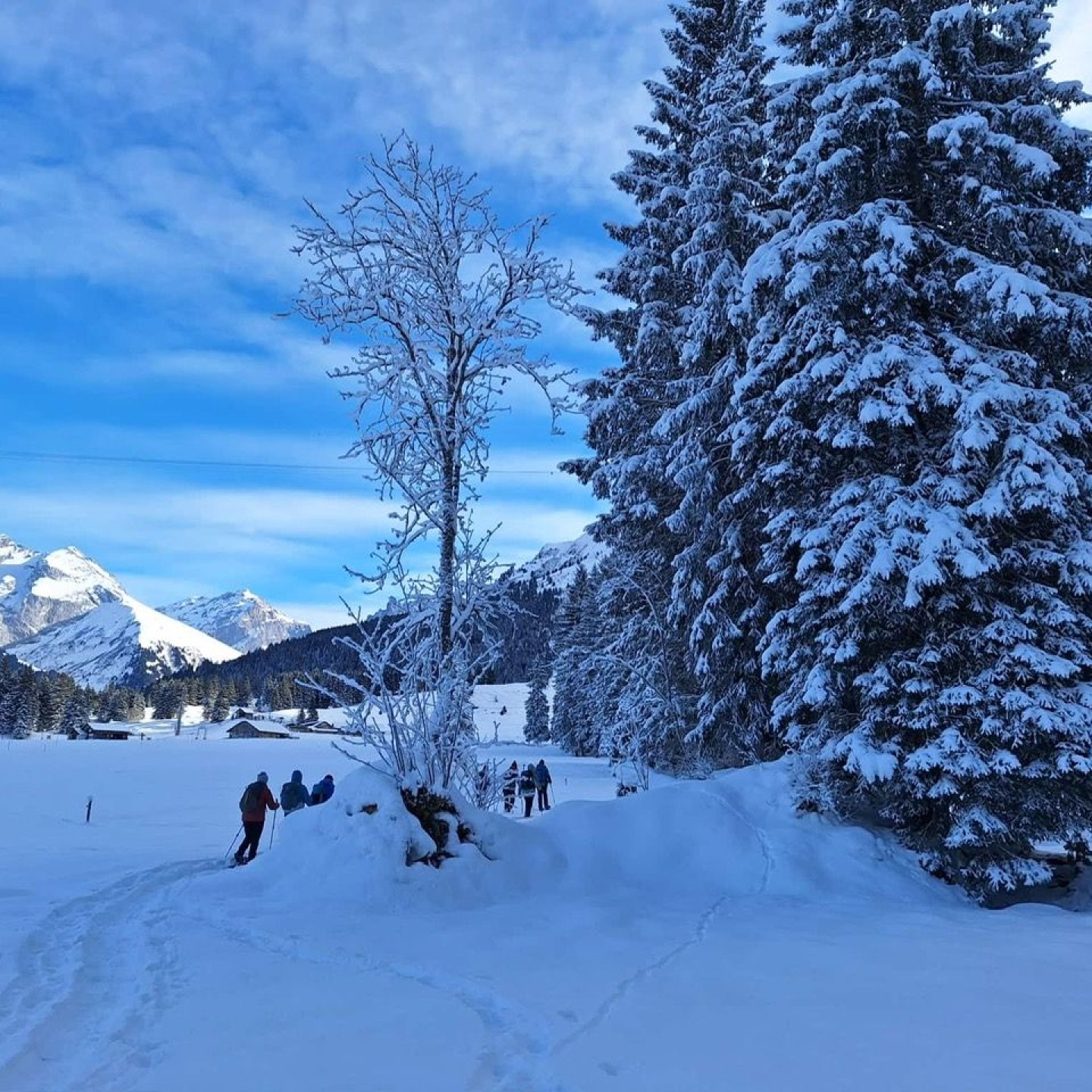 E584b8ae-5bdf-44f2-b116-98fd1ee48a7c