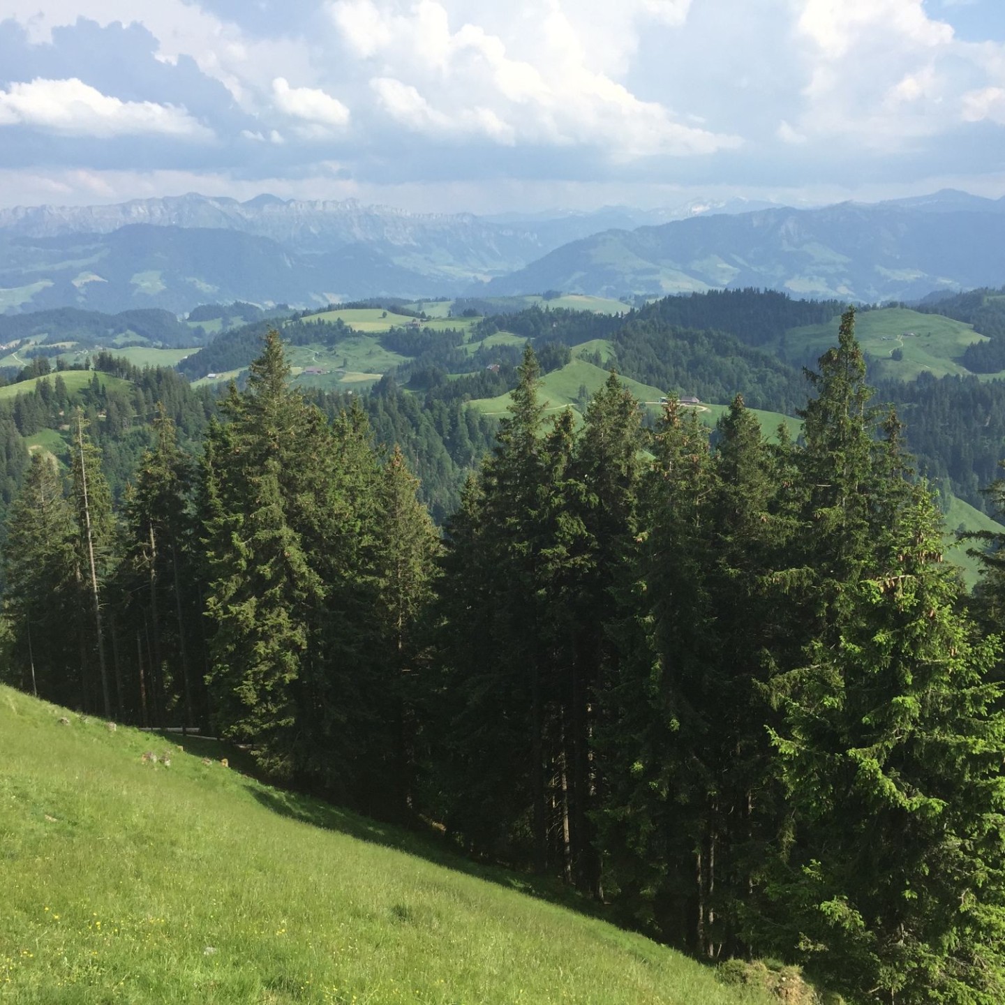Napf IMG_4143