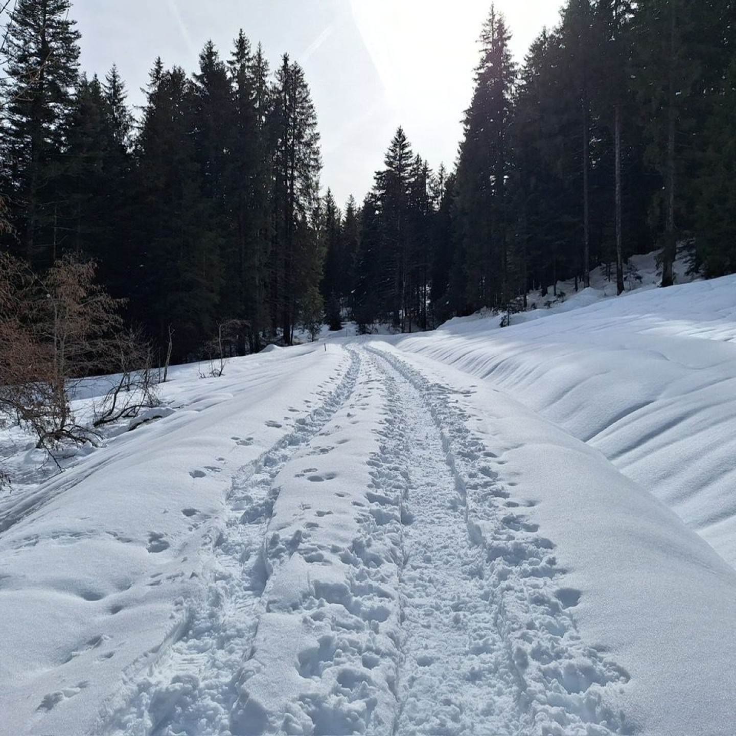 535476d3-3f9f-4ac5-95a5-8a3ee33420c2