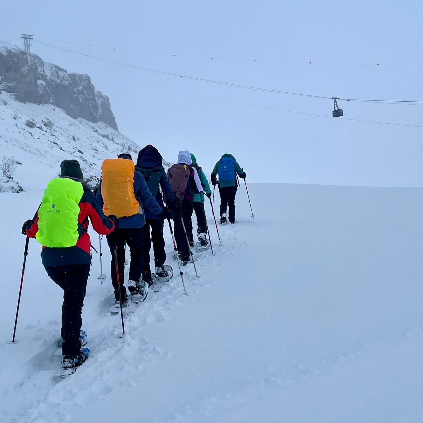 C83b1d98-d0b9-4243-b2af-baa1ad90b61b