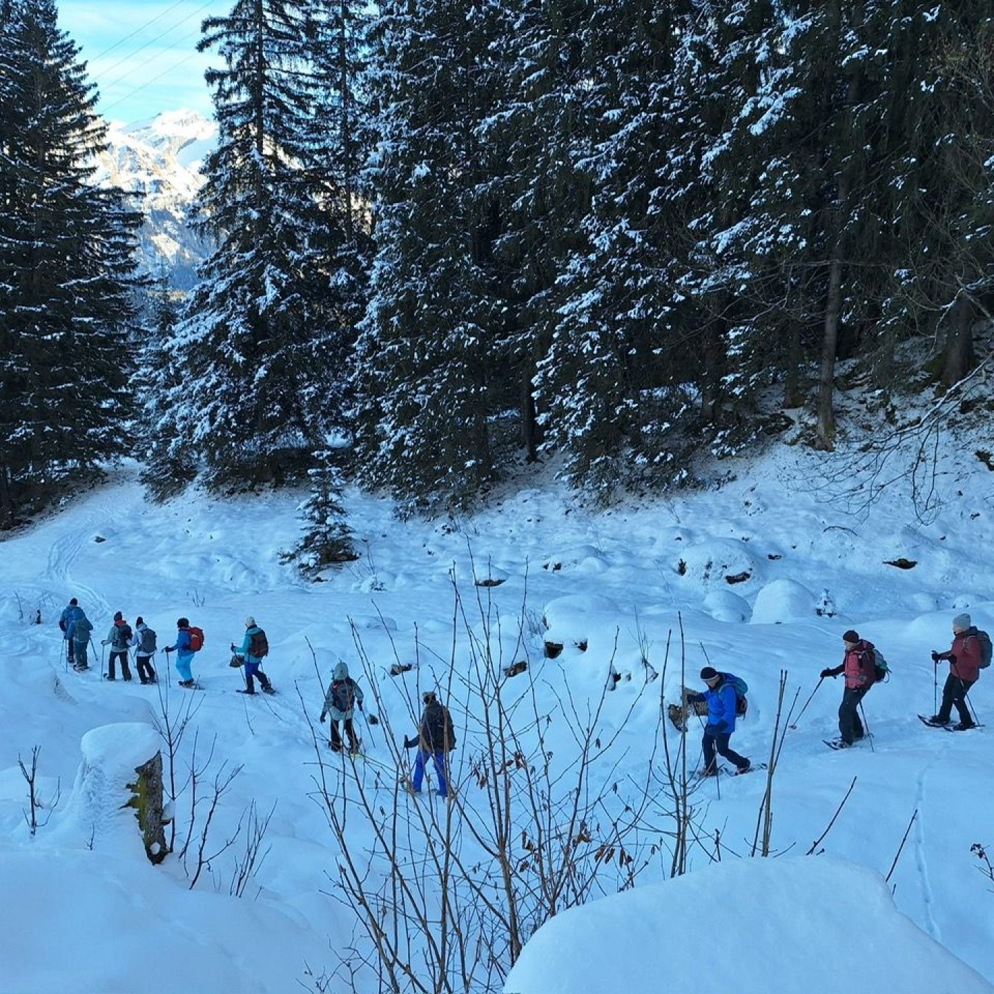 29118d04-7794-48c2-aba3-97bcd83a8873