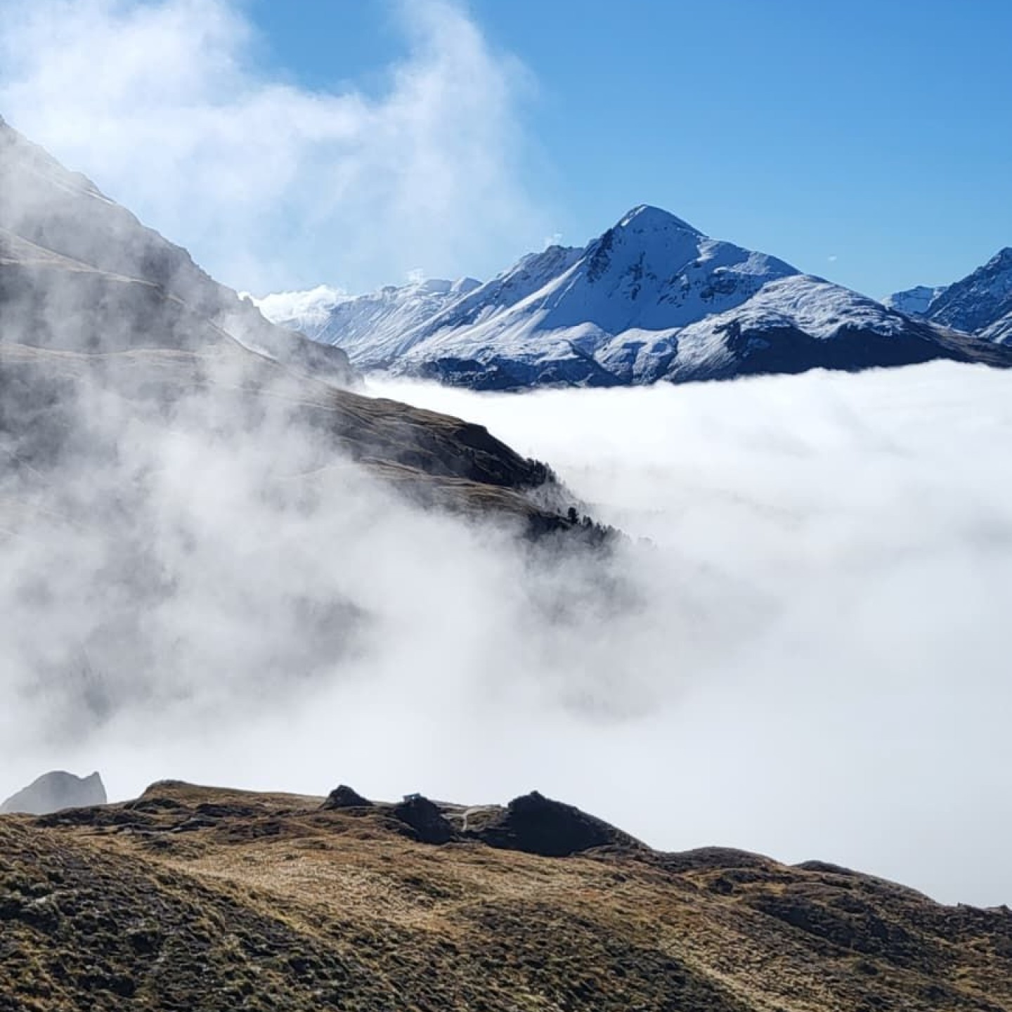 WhatsApp Image 2025-10-28 at 10