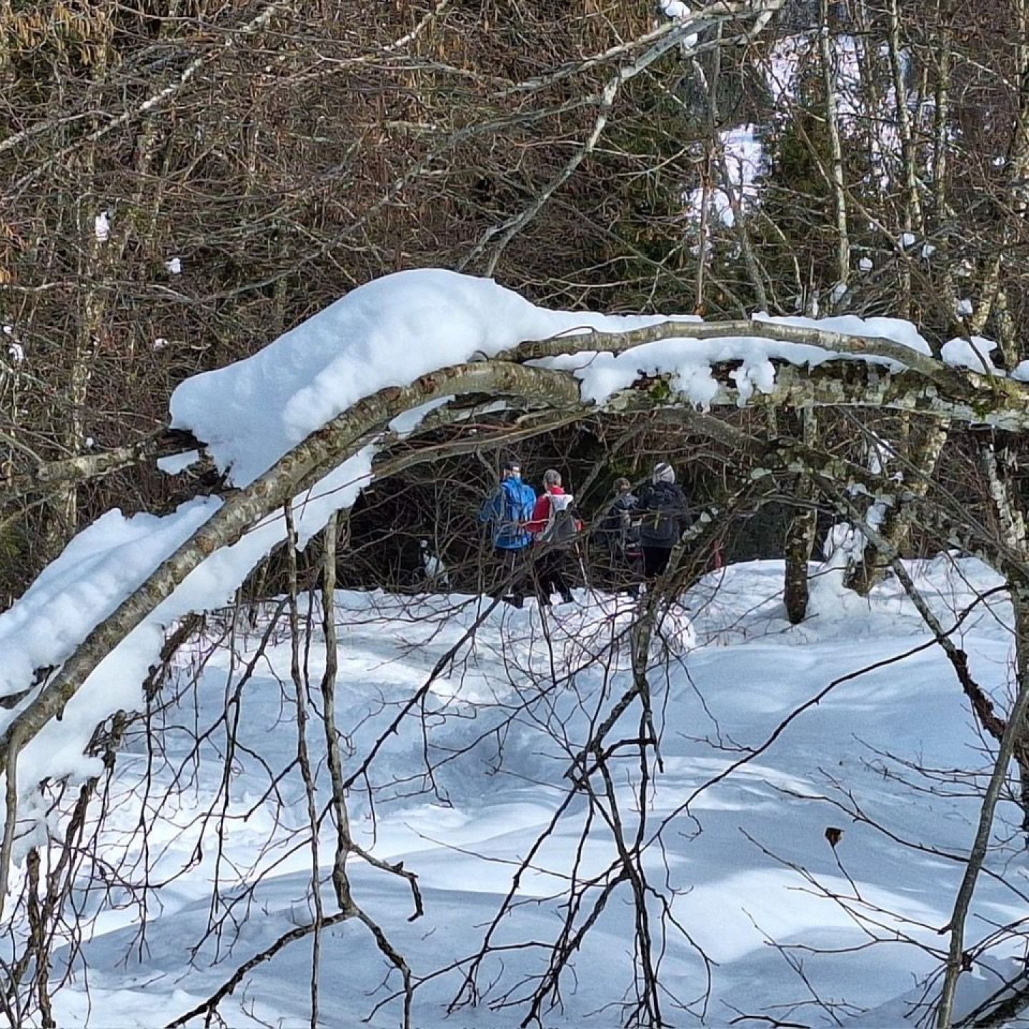 E3751cf8-2313-47bc-8ce9-8b53bc1a3ddb