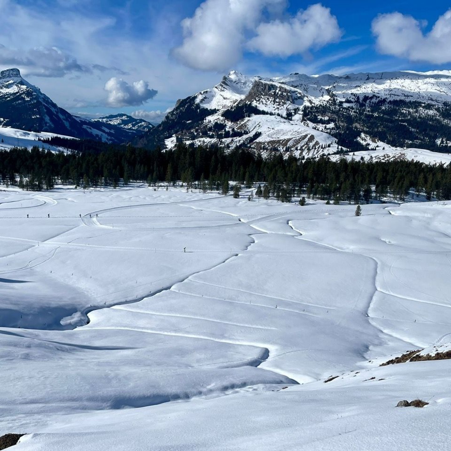 66b1bbb3-143c-42a9-bb5b-670e4da71c66