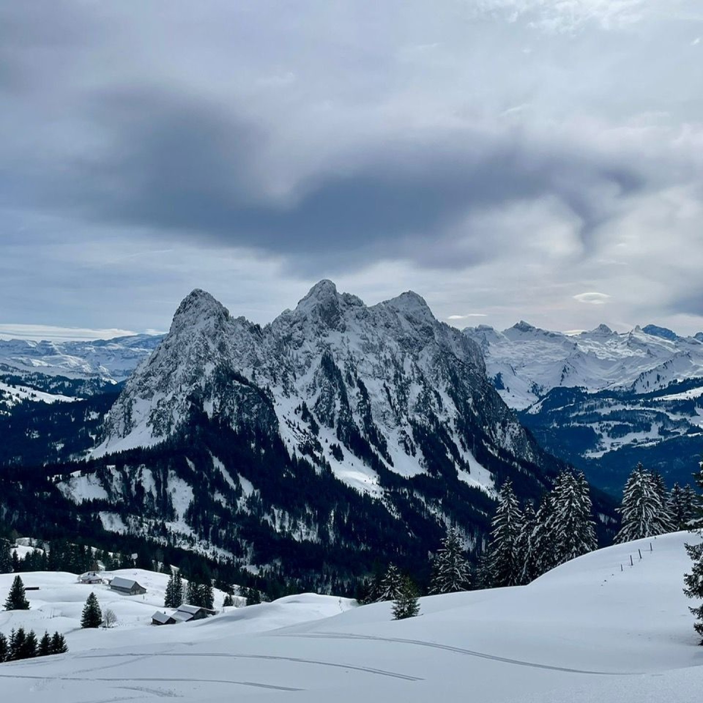 12e85006-0aa1-4672-9e37-0a5385689a2c